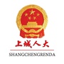 上城人大ico