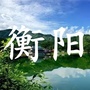 同城掌上通公众号ico