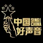 2021中国好声音宁乡赛区ico