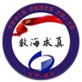 江宁统计ico