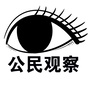 公民观察ico