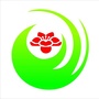 攀枝花艺术在线ico