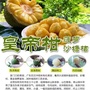 电白区格林美家庭农场ico