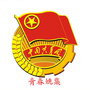 青春姚集ico