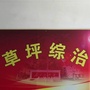 草坪政法ico