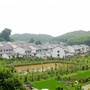 美丽渝水家园ico