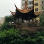 和乐融荣ico