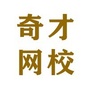 奇才网校ico