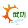 新武功ico