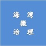 海湾微治理ico