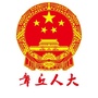 章丘人大ico