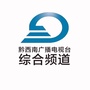 黔西南看点公众号ico