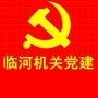 临河机关党建ico