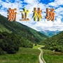 新立林场ico