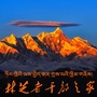 林芝老干部之家公众号ico