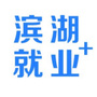 滨湖就业ico