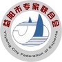 洞庭智库ico