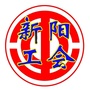 新阳工会ico