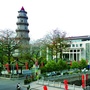 潮阳宣传ico