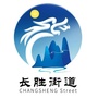 大武口区长胜街道办事处ico