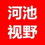 河池视野ico
