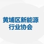 黄埔区新能源行业协会ico