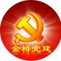 金桥党建ico