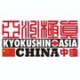 宝山区极真青少年体育运动俱乐部ico
