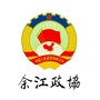 余江政协ico