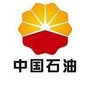 中国石油青海格尔木销售ico