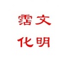 文明沾化ico