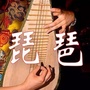 琵琶韵坊ico