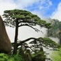 黄山发布ico