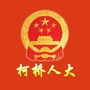 柯桥人大ico
