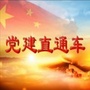 驻马店党建直通车ico