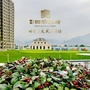 新湖四季果岭ico