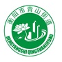 和美青山ico