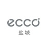 盐城ECCO爱步公众号ico