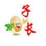 新子长ico