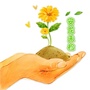 安龙未检ico