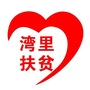 湾里扶贫ico