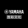 黄石七彩琴行ico