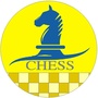 儋州市国际象棋协会ico