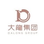 桂林大龙集团ico