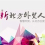 新北方外贸人ico