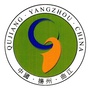 豪迈曲江ico