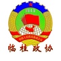 临桂政协ico