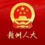 赣州人大ico