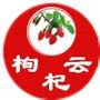 枸杞云公众号ico
