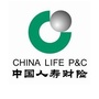 中国人寿财险盐城市中心支公司ico